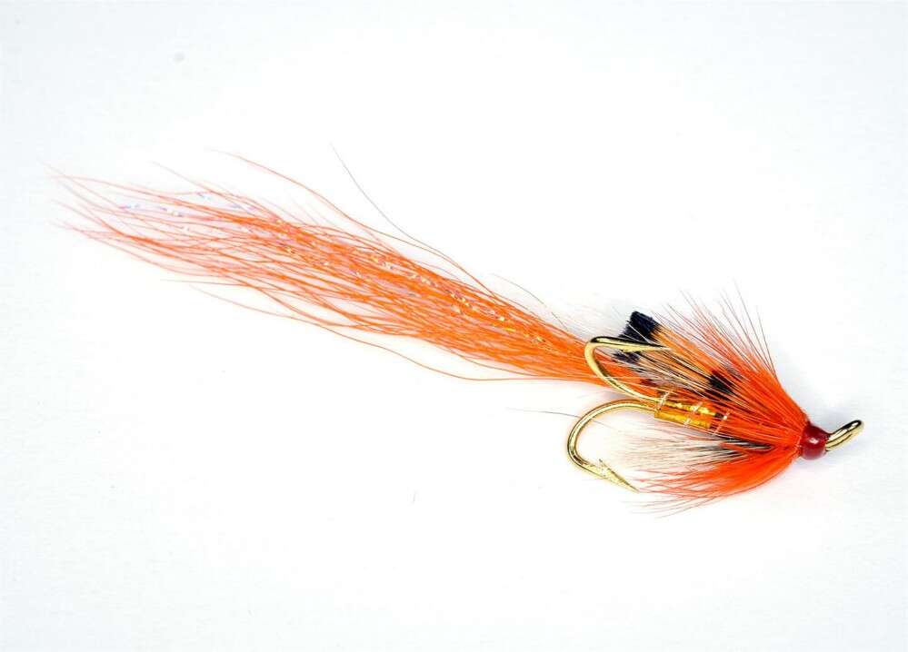 Allys Shrimp Gold